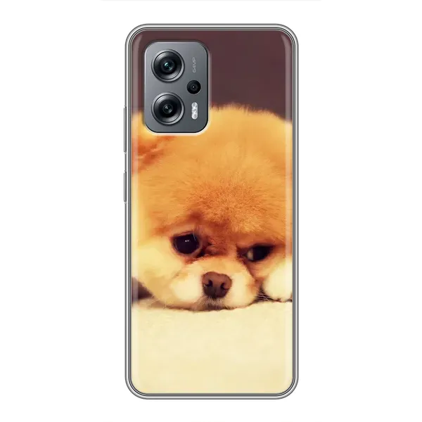 Чехол с рисунком «Померанский шпиц» для Xiaomi POCO X4 GT