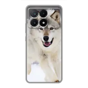 Чохол з Вовком на Xiaomi POCO X6 Pro (5G) (Вовк біжить по снігу)