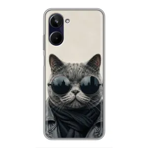 Чехол на тематику: Коты для Realme 10 (Модный кот)