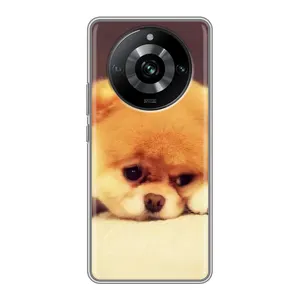 Чохол (ТПУ) Милі песики для Realme 11 Pro (Померанский шпіц)