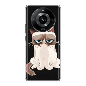 Чохол на тематику: Коти для Realme 11 Pro (Погляд кота)