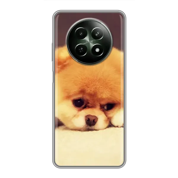 Чехол с рисунком «Померанский шпиц» для Realme 12 5G Чехол с рисунком «Померанский шпиц» для Realme 12 5G