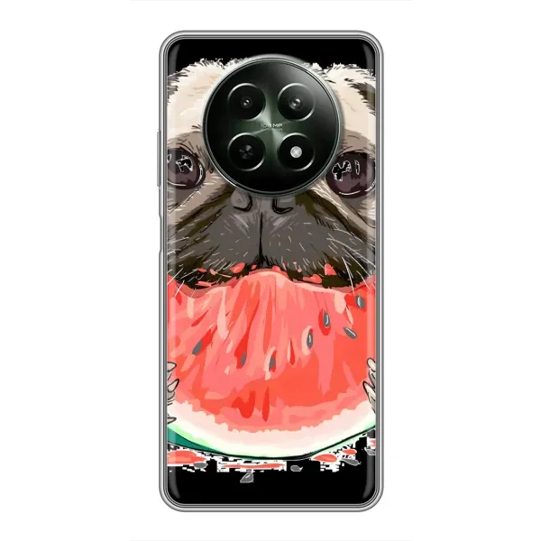 Чехол с рисунком «Смешной Мопс» для Realme 12 5G Чехол с рисунком «Смешной Мопс» для Realme 12 5G