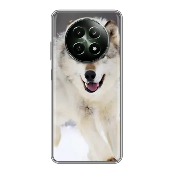Чехол с рисунком «Волк на снегу» для Realme 12 5G