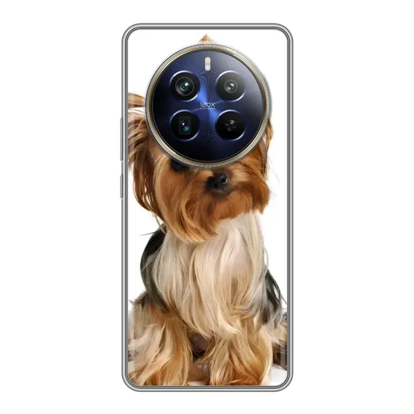 Чехол с рисунком «Собака Терьер» для Realme 12 Plus Чехол с рисунком «Собака Терьер» для Realme 12 Plus
