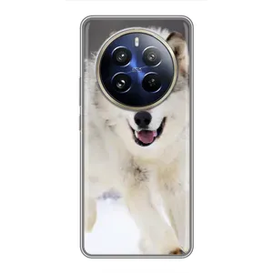 Чехол с Волком на Realme 12 Pro Plus (Волк на снегу)