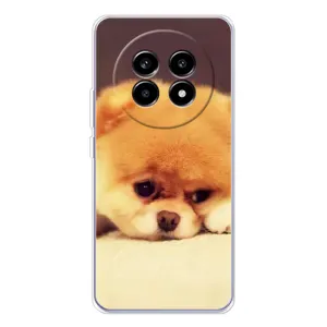 Чохол (ТПУ) Милі песики для Realme 13 Pro (Померанский шпіц)