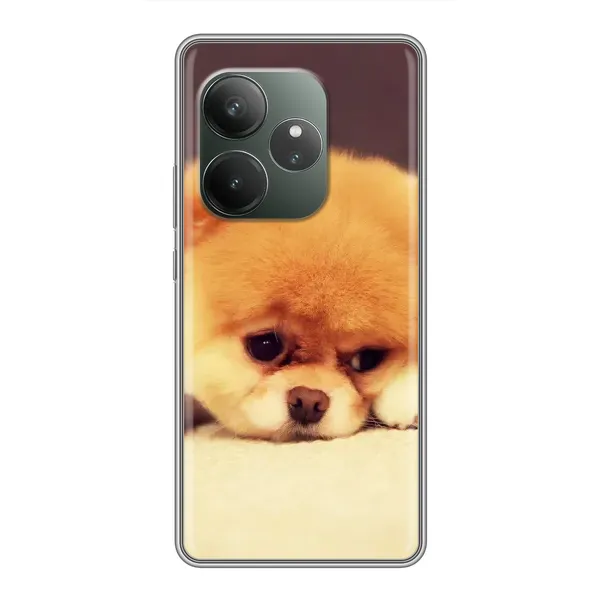 Чехол с рисунком «Померанский шпиц» для Realme GT 6 Чехол с рисунком «Померанский шпиц» для Realme GT 6