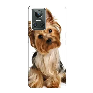 Чехол (ТПУ) Милые собачки для Realme GT Neo 3 (Собака Терьер)