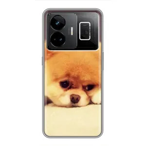 Чехол (ТПУ) Милые собачки для Realme GT3 (Померанский шпиц)