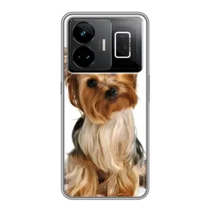 Чехол (ТПУ) Милые собачки для Realme GT3 (Собака Терьер)