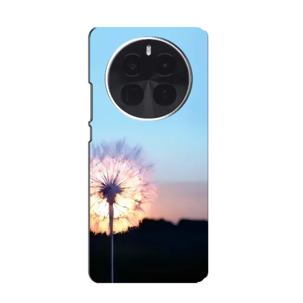 Чехол с рисунком «Закат с одуванчиком» для Realme GT5 Pro Чехол с рисунком «Закат с одуванчиком» для Realme GT5 Pro