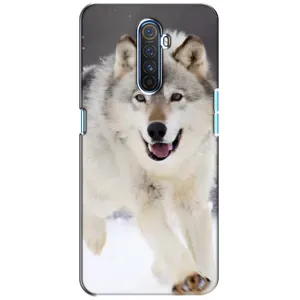 Чехол с Волком на Realme X2 Pro (Волк на снегу)