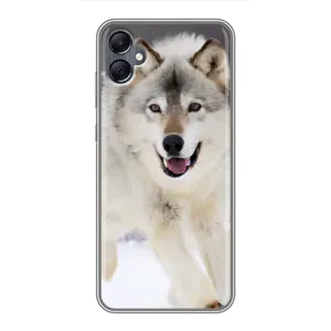 Чехол с Волком на Samsung Galaxy A05 (Волк на снегу)