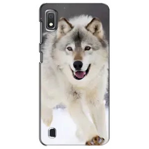Чехол с Волком на Samsung Galaxy A10 2019 (A105F) (Волк на снегу)