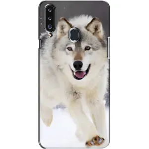 Чехол с Волком на Samsung Galaxy A20s (A207) (Волк на снегу)