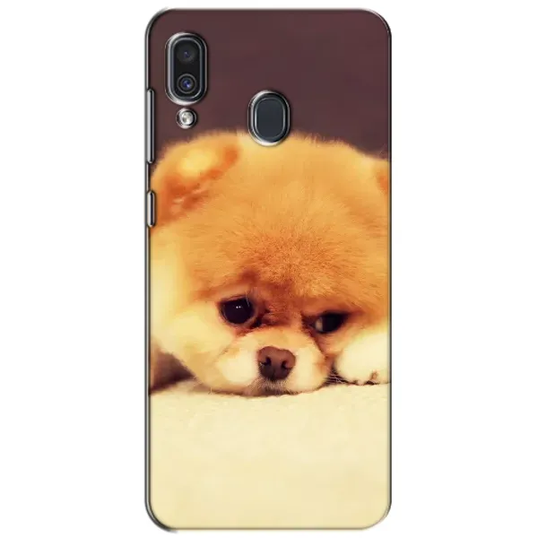 Чехол с рисунком «Померанский шпиц» для Samsung Galaxy A30 2019 (A305F) Чехол с рисунком «Померанский шпиц» для Samsung Galaxy A30 2019 (A305F)
