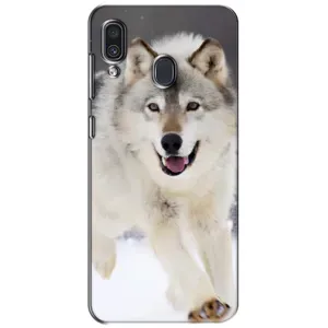 Чохол з Вовком на Samsung Galaxy A30 2019 (A305F) (Вовк біжить по снігу)