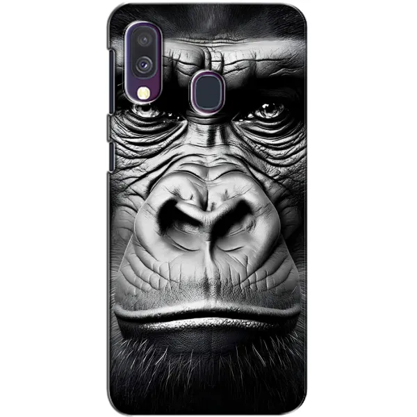 Чехол с рисунком «Черная обезьяна» для Samsung Galaxy A40 2019 (A405F) Чехол с рисунком «Черная обезьяна» для Samsung Galaxy A40 2019 (A405F)
