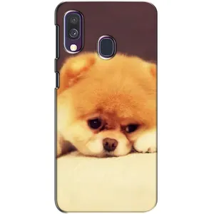 Чехол (ТПУ) Милые собачки для Samsung Galaxy A40 2019 (A405F) (Померанский шпиц)