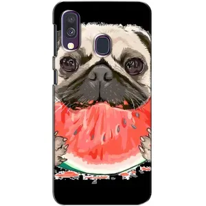 Чехол (ТПУ) Милые собачки для Samsung Galaxy A40 2019 (A405F) (Смешной Мопс)