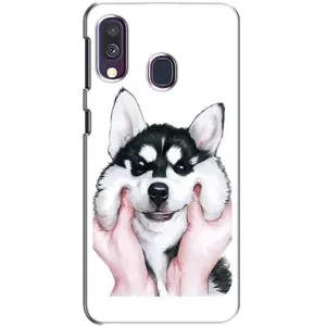 Бампер для Samsung Galaxy A40 2019 (A405F) с картинкой "Песики" (Собака Хаски)