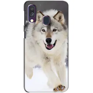 Чохол з Вовком на Samsung Galaxy A40 2019 (A405F) (Вовк біжить по снігу)