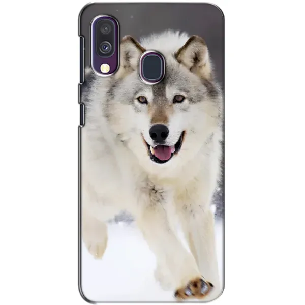 Чехол с рисунком «Волк на снегу» для Samsung Galaxy A40 2019 (A405F) Чехол с рисунком «Волк на снегу» для Samsung Galaxy A40 2019 (A405F)