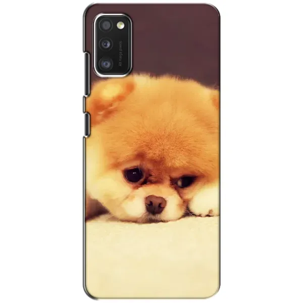 Чехол с рисунком «Померанский шпиц» для Samsung Galaxy A41 (A415) Чехол с рисунком «Померанский шпиц» для Samsung Galaxy A41 (A415)