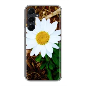 Чохол з ромашками на Samsung Galaxy A55 (Біла ромашка)