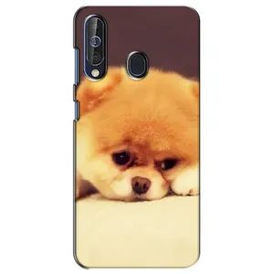 Чохол (ТПУ) Милі песики для Samsung Galaxy A60 2019 (A605F) (Померанский шпіц)