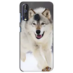 Чехол с Волком на Samsung Galaxy A60 2019 (A605F) (Волк на снегу)