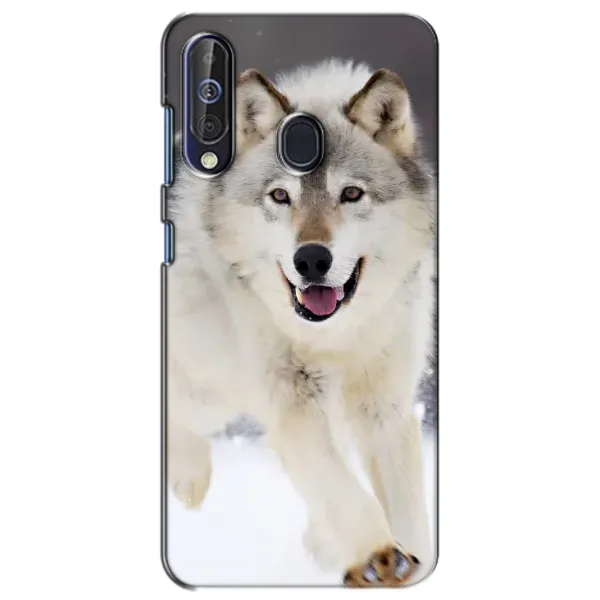 Чехол с рисунком «Волк на снегу» для Samsung Galaxy A60 2019 (A605F) Чехол с рисунком «Волк на снегу» для Samsung Galaxy A60 2019 (A605F)