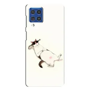 Чохол на тематику: Коти для Samsung Galaxy F62 (Відпочинок)