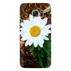 Чохол з ромашками на Samsung Galaxy S7 Еdge / G935 (Біла ромашка)