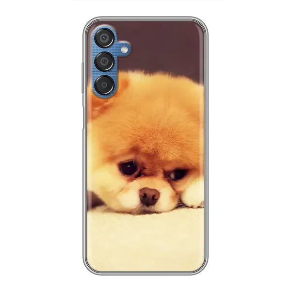 Чехол с рисунком «Померанский шпиц» для Samsung Galaxy M15 (M156) Чехол с рисунком «Померанский шпиц» для Samsung Galaxy M15 (M156)