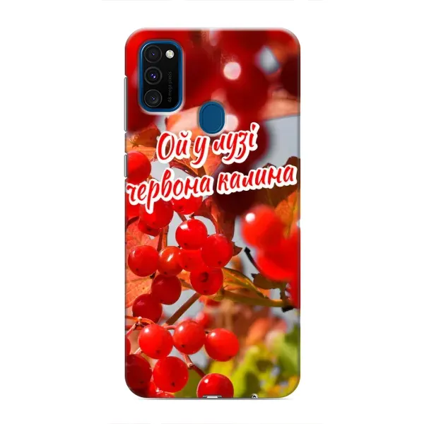 Чехол с рисунком «Червона Калина» для Samsung Galaxy M30s (M307)