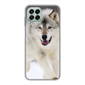 Чехол с Волком на Samsung Galaxy M33 (5G) (M336B) (Волк на снегу)