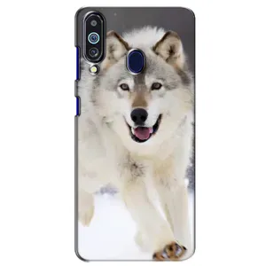 Чехол с Волком на Samsung Galaxy M40 (Волк на снегу)