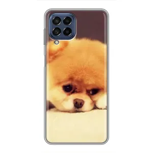 Чехол (ТПУ) Милые собачки для Samsung Galaxy M53 (5G) (M536B) (Померанский шпиц)