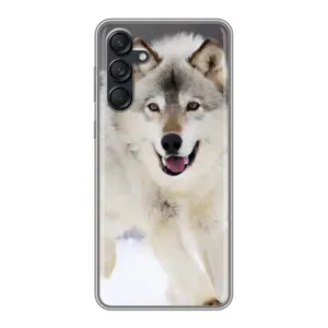Чехол с Волком на Samsung Galaxy M55 5G (Волк на снегу)