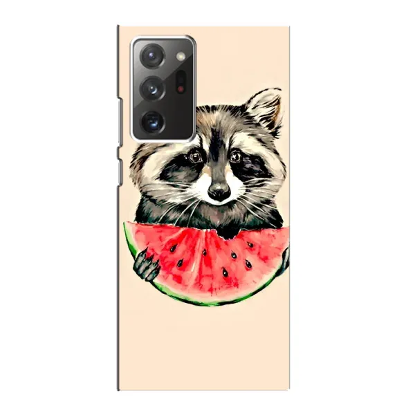 Чехол с рисунком «Енот» для Samsung Galaxy Note 20 Ultra Чехол с рисунком «Енот» для Samsung Galaxy Note 20 Ultra