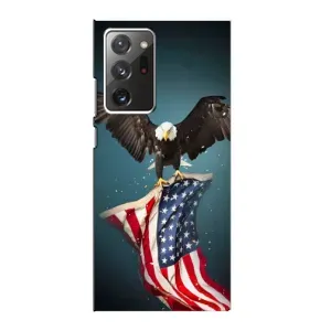 Чехол Флаг USA для Samsung Galaxy Note 20 Ultra (Орел и флаг)