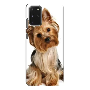 Чехол (ТПУ) Милые собачки для Samsung Galaxy S20 Plus (Собака Терьер)