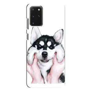 Бампер для Samsung Galaxy S20 Plus с картинкой "Песики" (Собака Хаски)