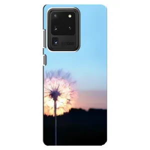 Силіконовий Чохол з кульбабками на Samsung Galaxy S20 Ultra (Захід з кульбабкою)