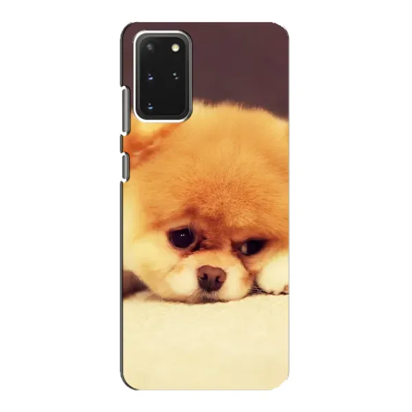 Чехол с рисунком «Померанский шпиц» для Samsung Galaxy S20 Чехол с рисунком «Померанский шпиц» для Samsung Galaxy S20