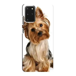 Чохол (ТПУ) Милі песики для Samsung Galaxy S20 (Пес Терьєр)