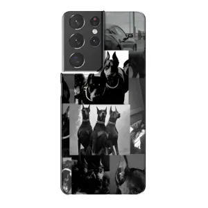 Чехол ДОБЕРМАН для Samsung Galaxy S21 Plus (Коллаж Доберман)