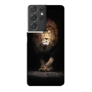 Чехол с картинкой на Samsung Galaxy S21 Plus (Красивый Лев)